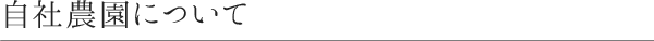 自社農園について