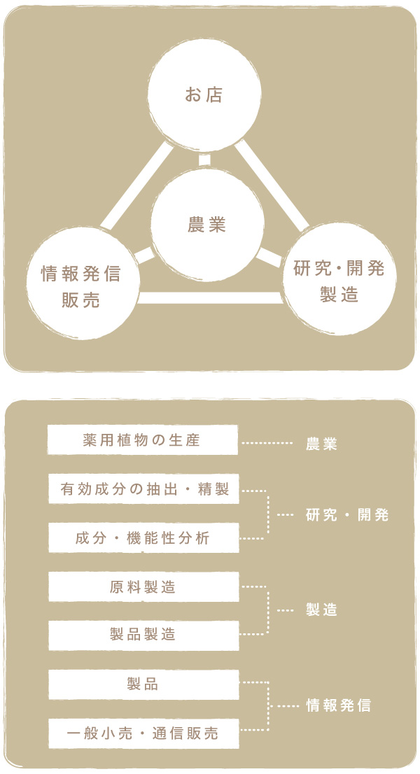 エッセンチアの取り組み
